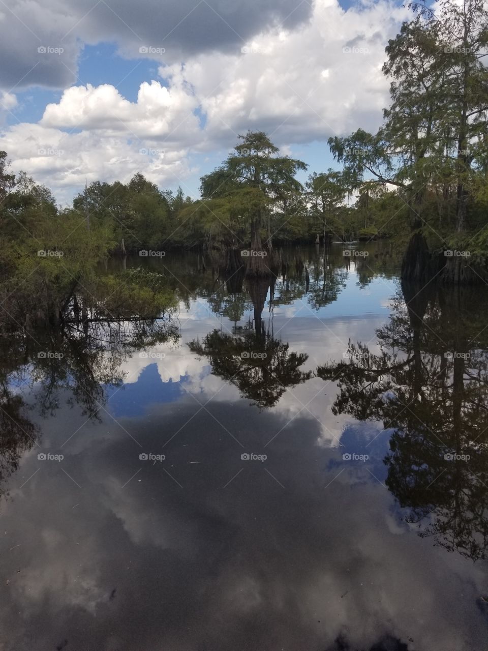 Chipola River beautiful reflection of the sky clouds and trees on the water. Gods canvas