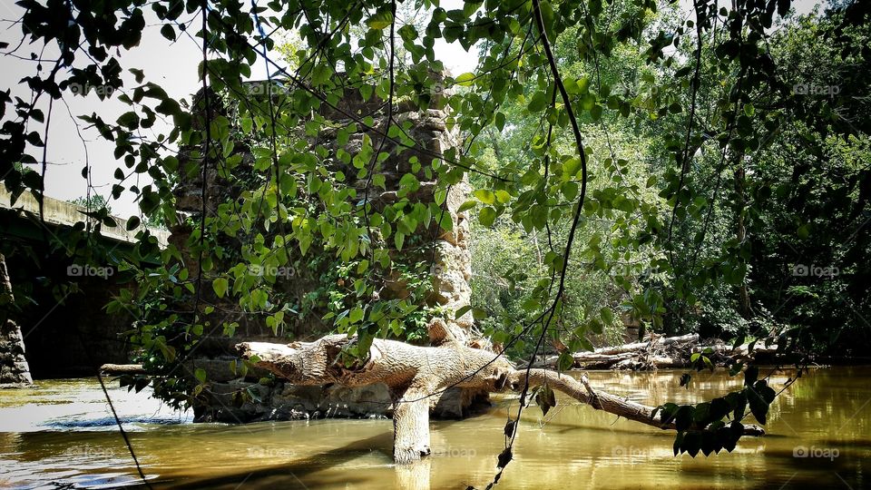 A bridge, a river and a tree down