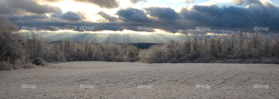 And ice encased field after an ice storm at sunset