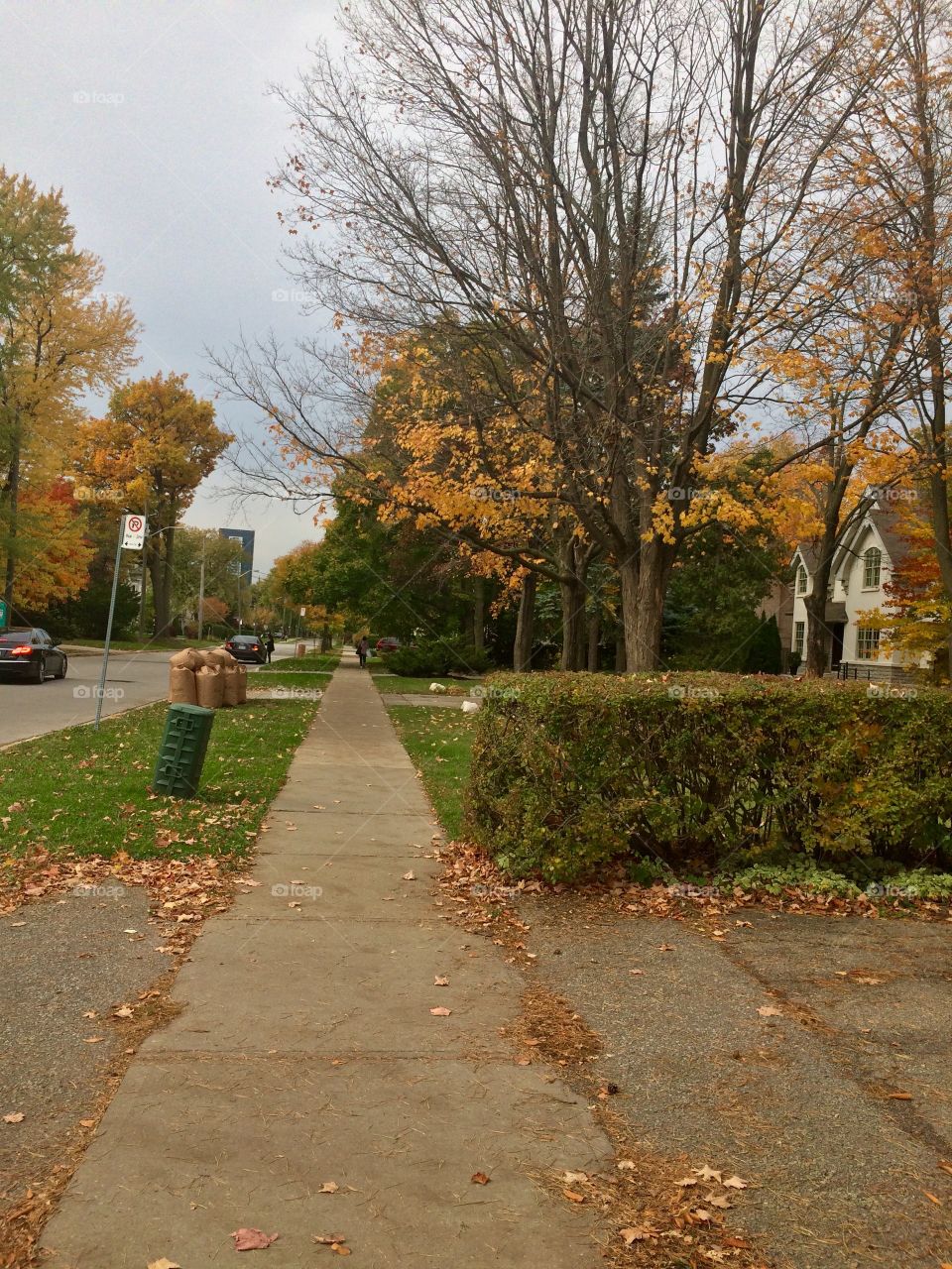 Autumn in Toronto 