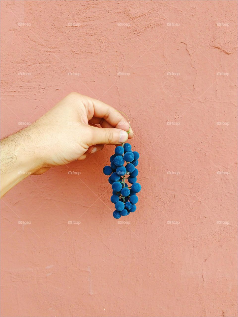 Man's hand holds a bunch of grapes