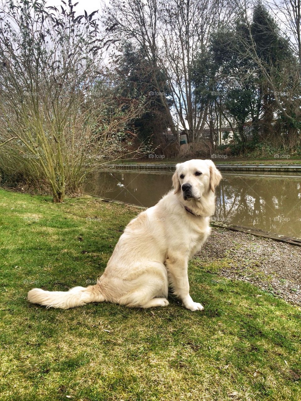 Zoe posing at the canal