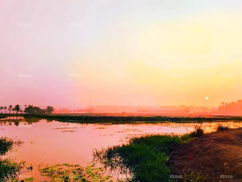 sunset