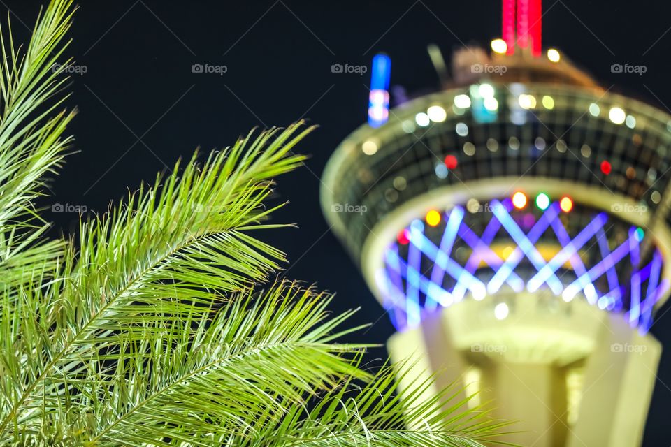 The iconic Stratosphere tower in bokeh with the focus on palm tree. Las Vegas, Nevada, USA.