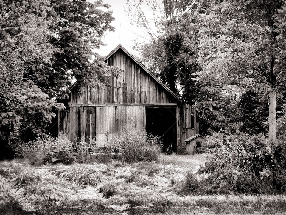 Old barn in the countryside 