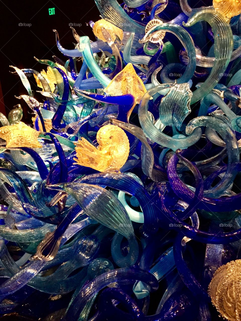 Glass Aquarium