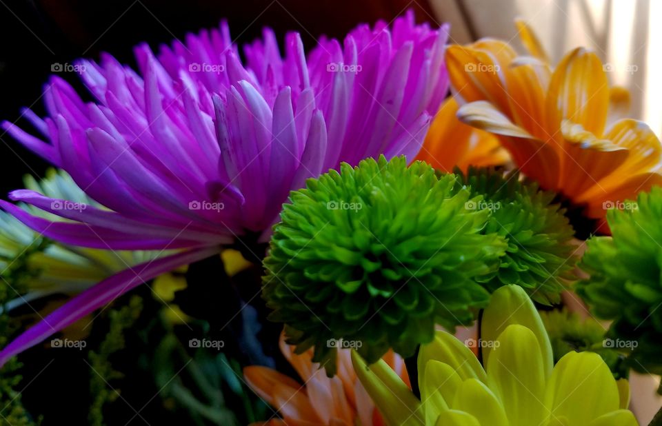 bouquet of colorful flowers.