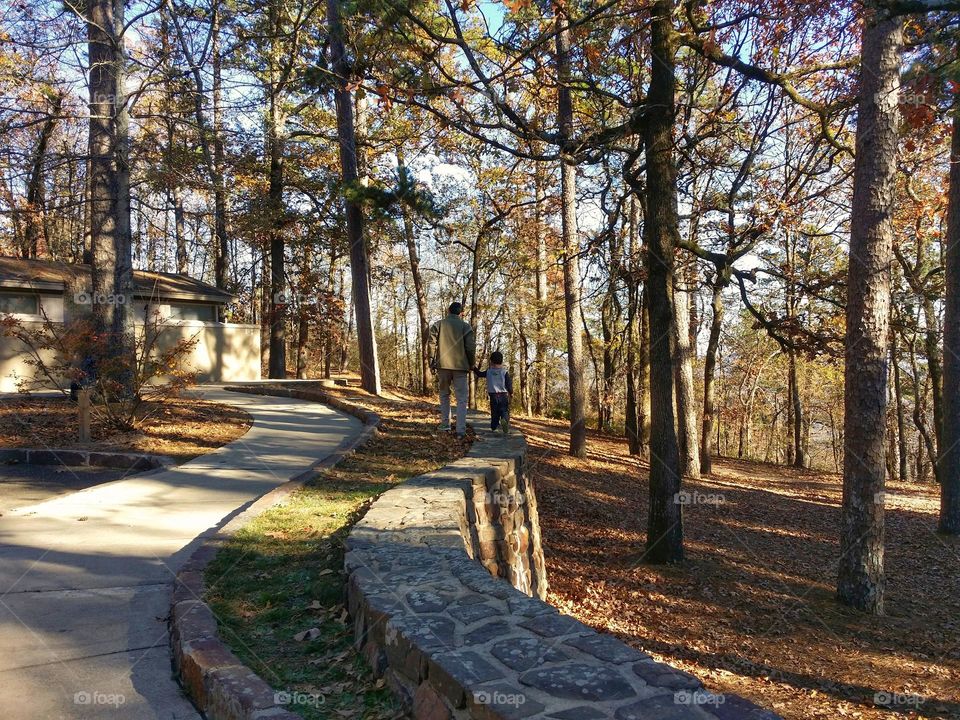 Father & Son walking in tree lined Park