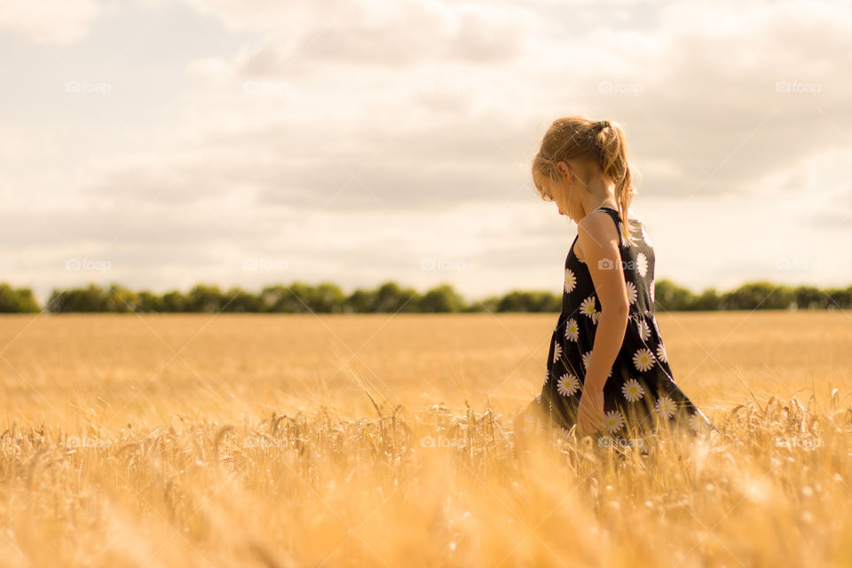 The Wheat Field