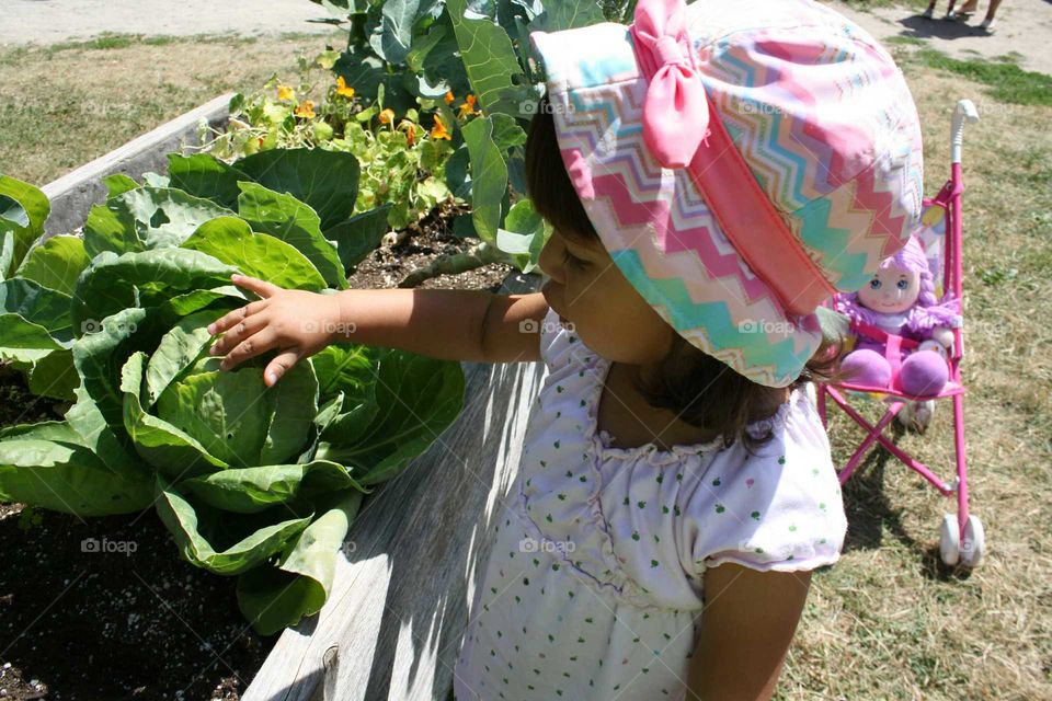 Little girl looking at plant in garden