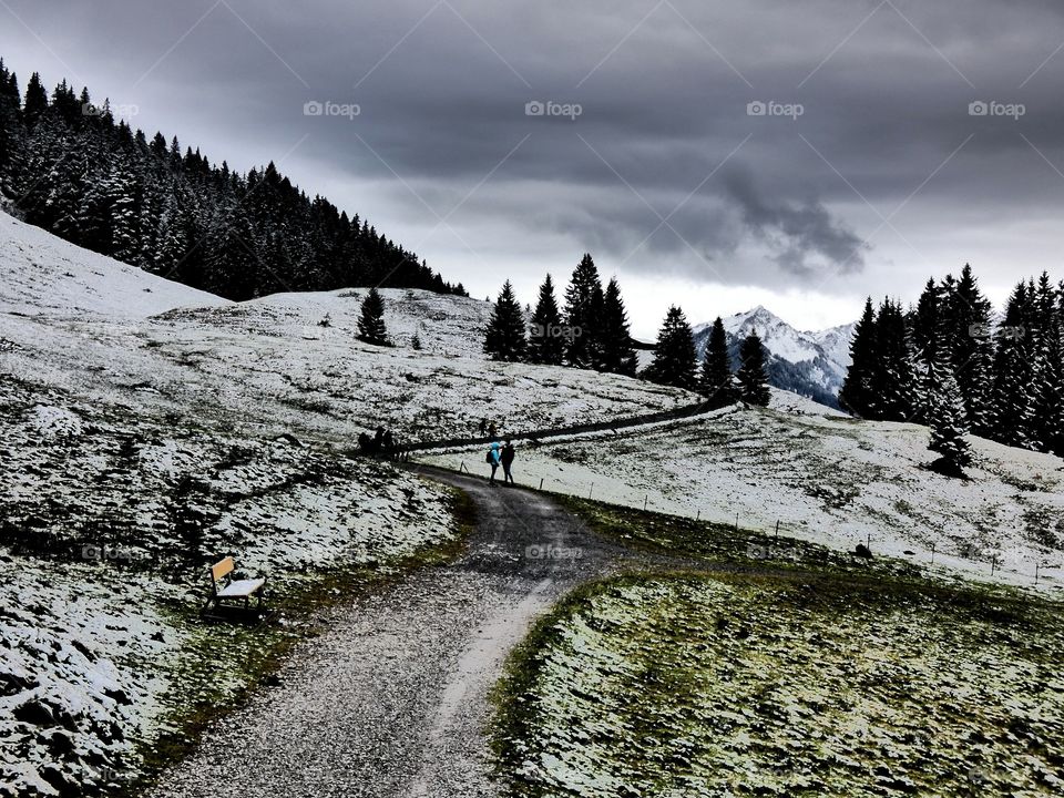 Way from the top to go home