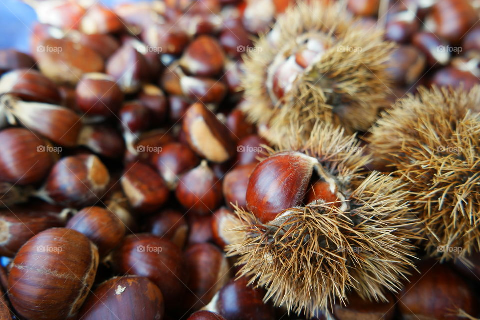 Close-up of chestnuts