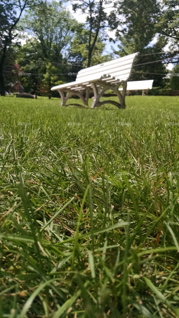 Park Bench. Walking through Modick park