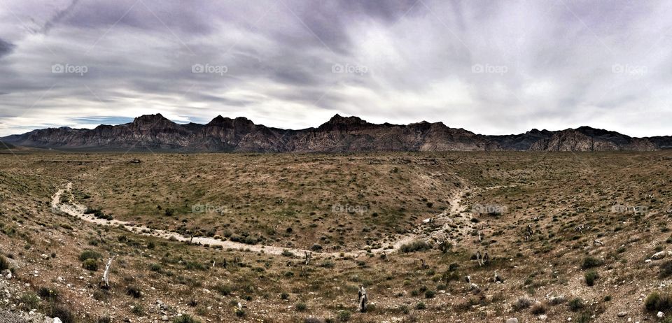 The vast desert 🌵 of the Mohave 