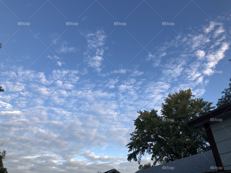 The sky and morning clouds