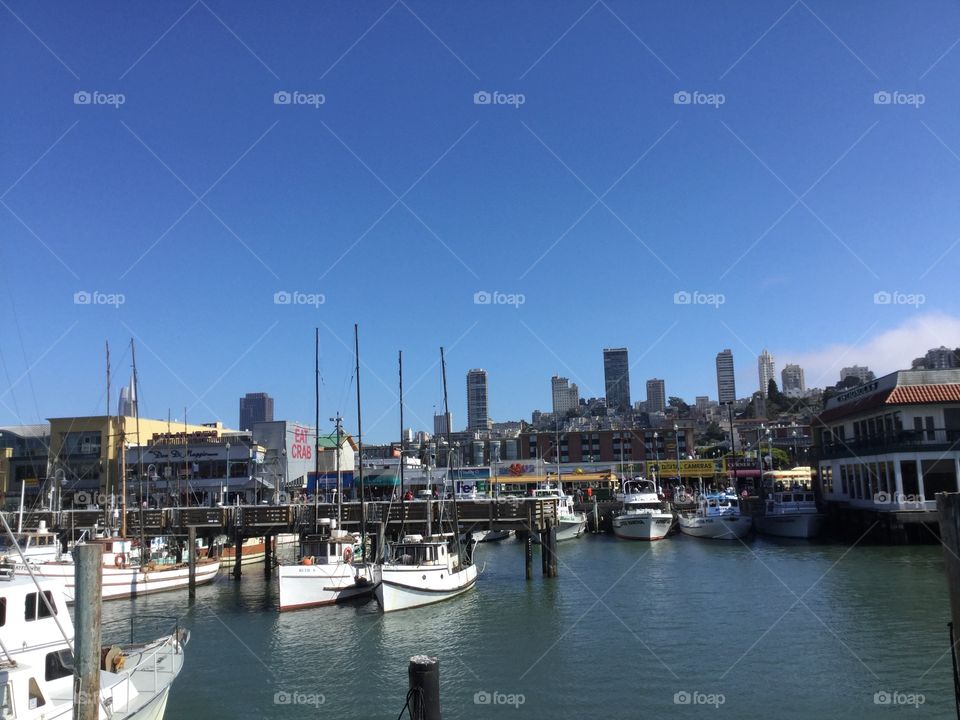 Marina in San Francisco
