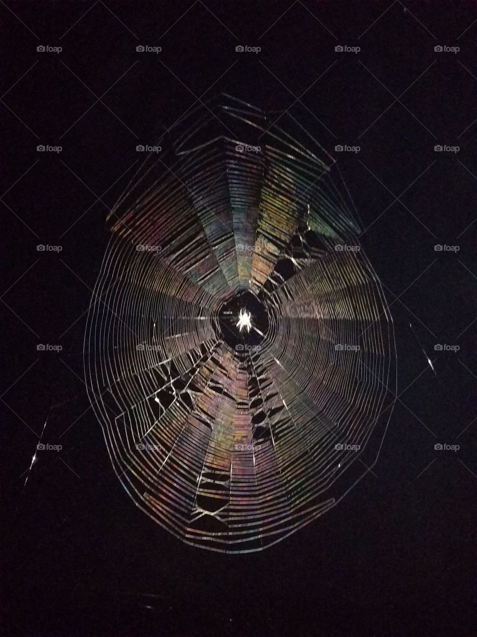web