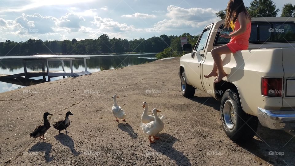 Feeding the Ducks