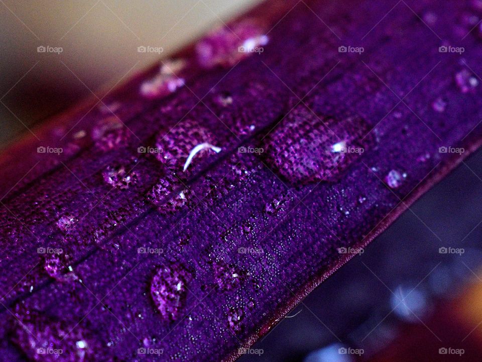 purple leaf with water drops