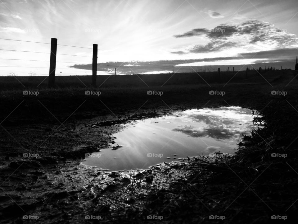 Sunset and a puddle 
