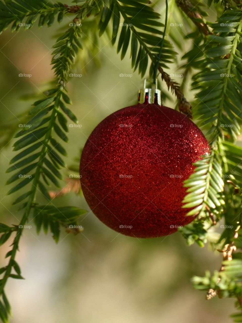 Red sparkly ornament on tree