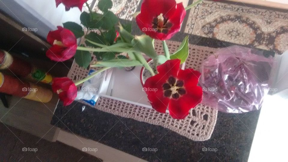 flores de tulipa aberta