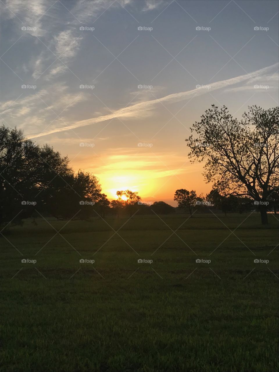 Texas Country Sunrise