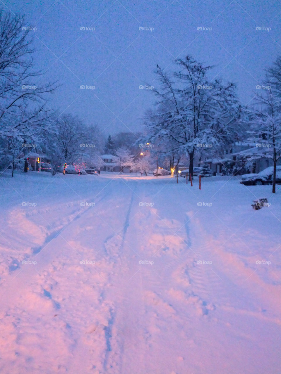 Elements of December - the much-awaited snow...