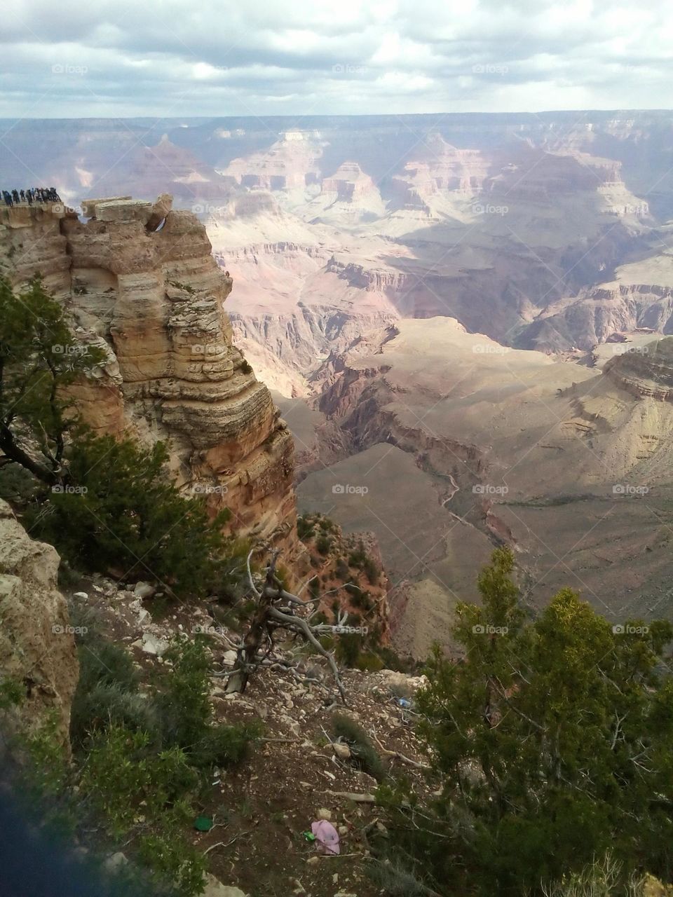 Edge of Grand Canyon showing contrast from shade to light. Striated mountain. Canyon below. I see face of native American girl as if she were lying looking up to left. Her head is framed with the white color next to mountain. Maybe??