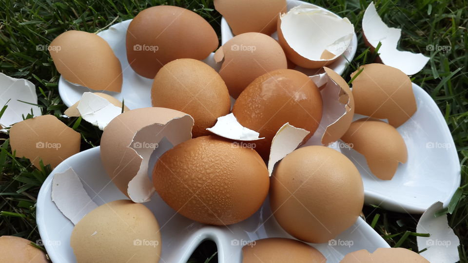 Brown cracked eggs