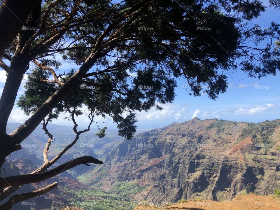 A beautiful big and open view of the Kauai canyon