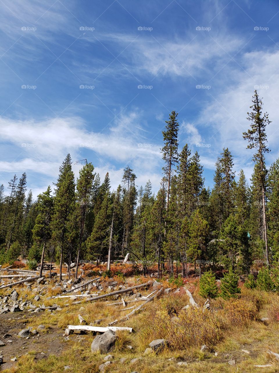 Brilliant fall colors of a landscape on the shores of Elk Lake in Oregon’s Cascade Mountains