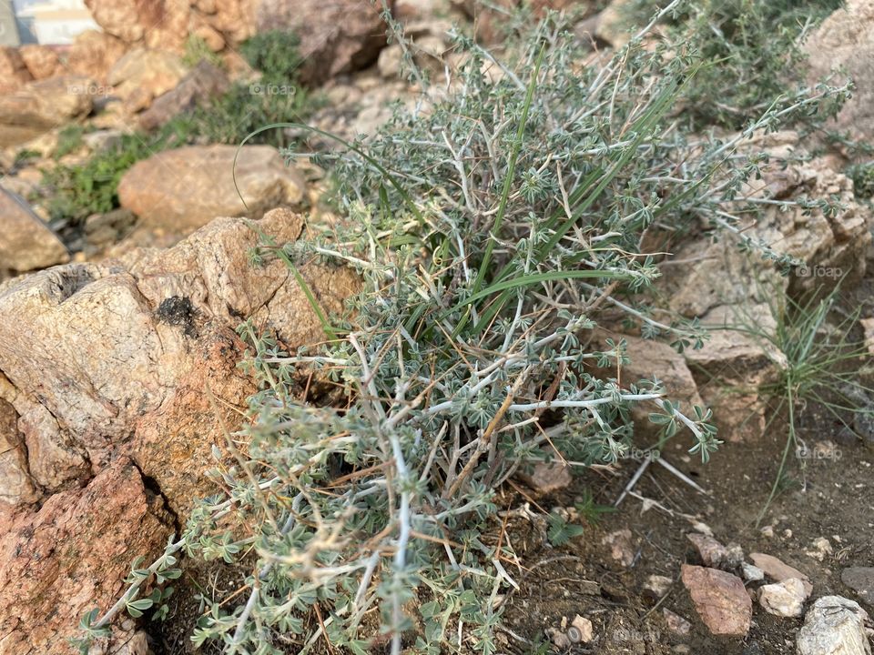 Taif mountains ⛰ rocks 