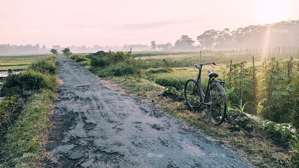 An old bicycle is parked on the side of the damaged road in the rice fields
