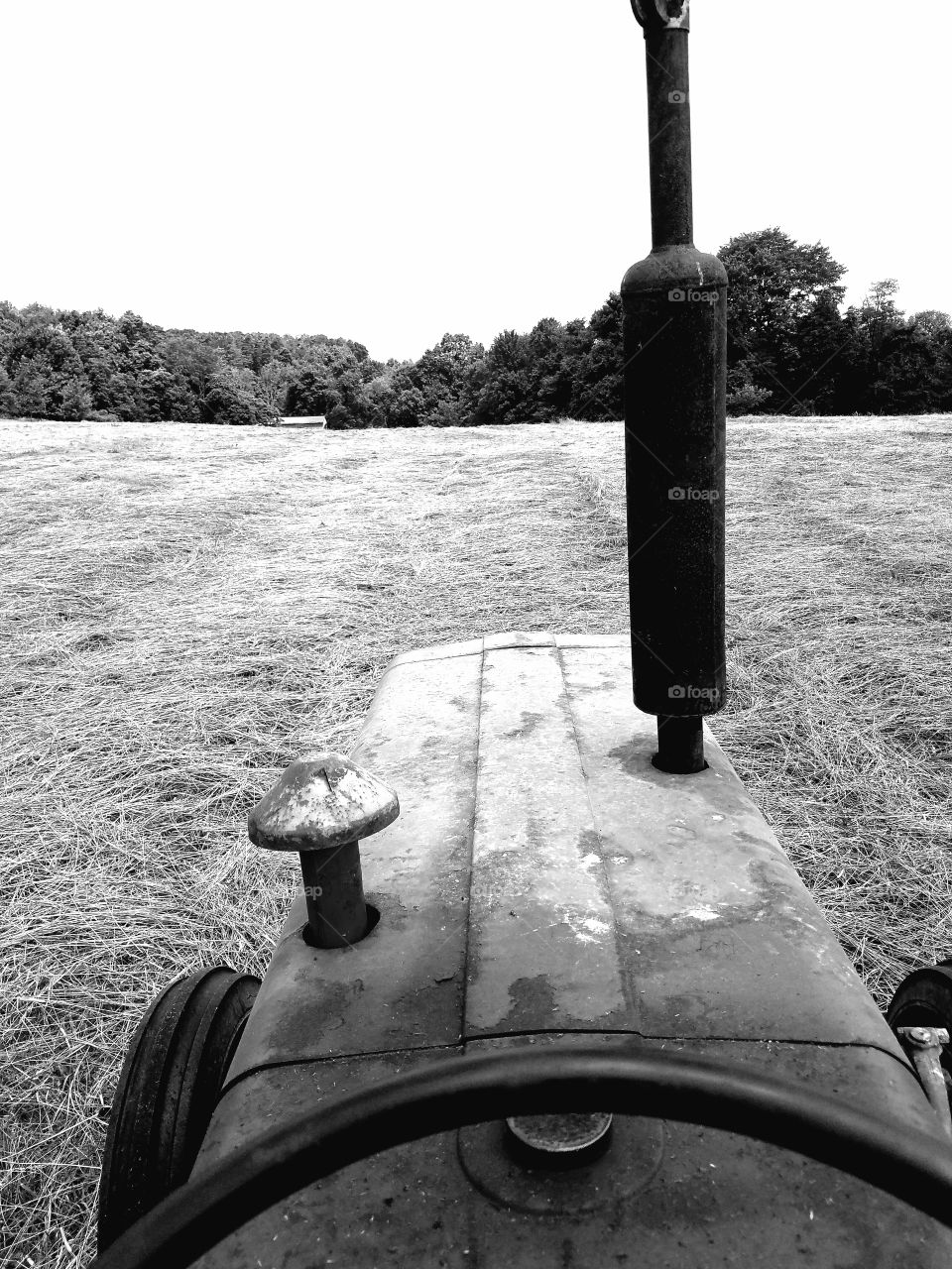 driving the tractor