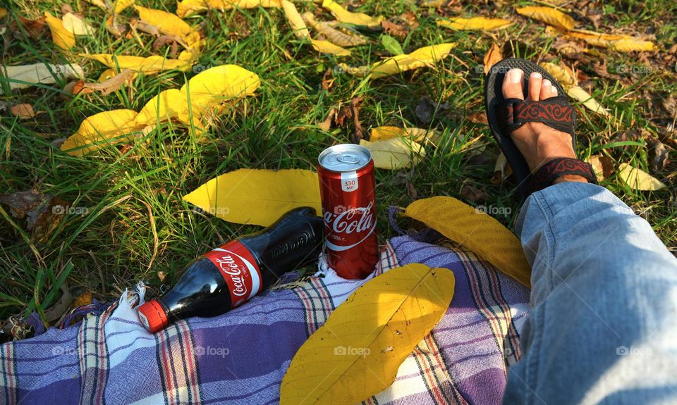 picnic in the park