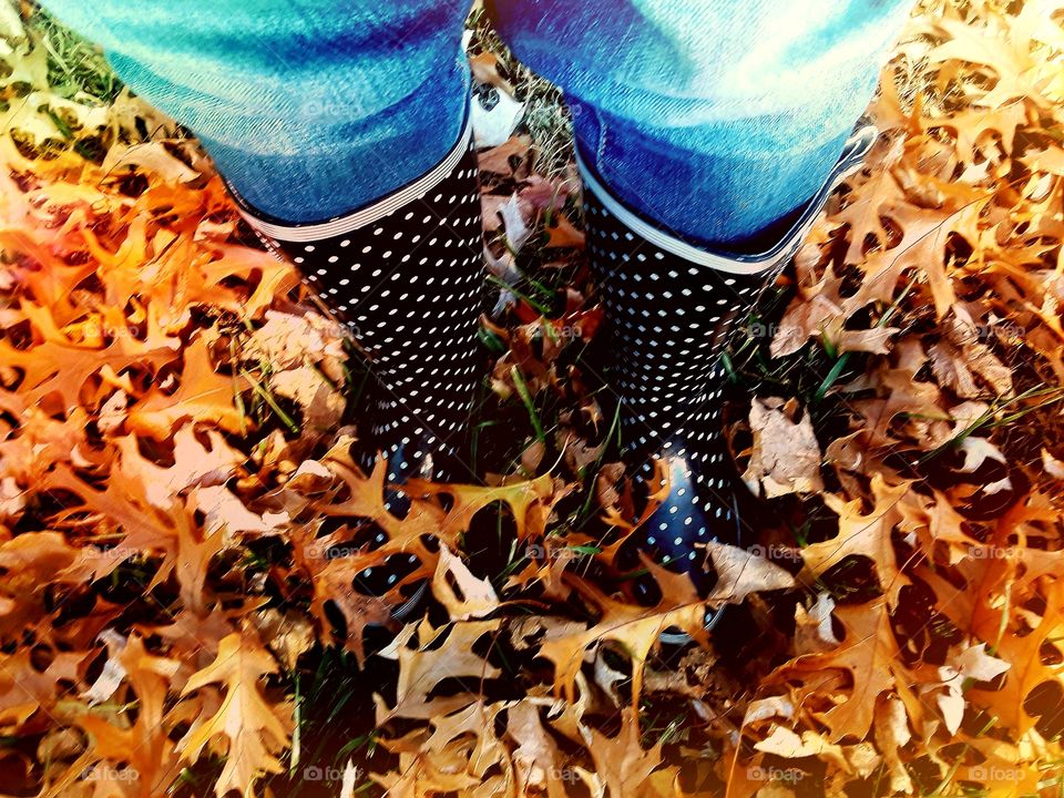 Autumn Rainboots Standing In Leaves