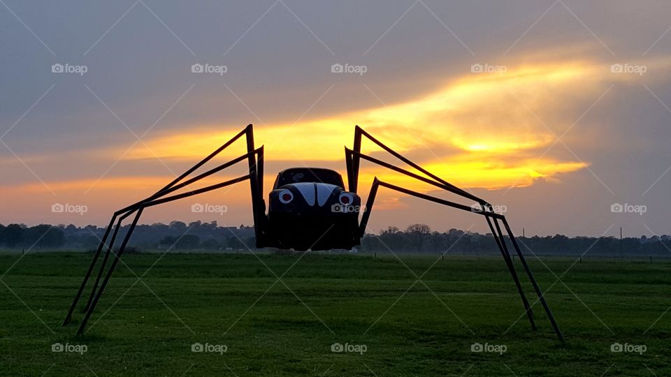 Spider Bug Off US Highway 77 Lexington Oklahoma