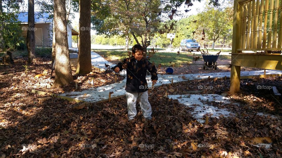 fall. a boy playing with leaf