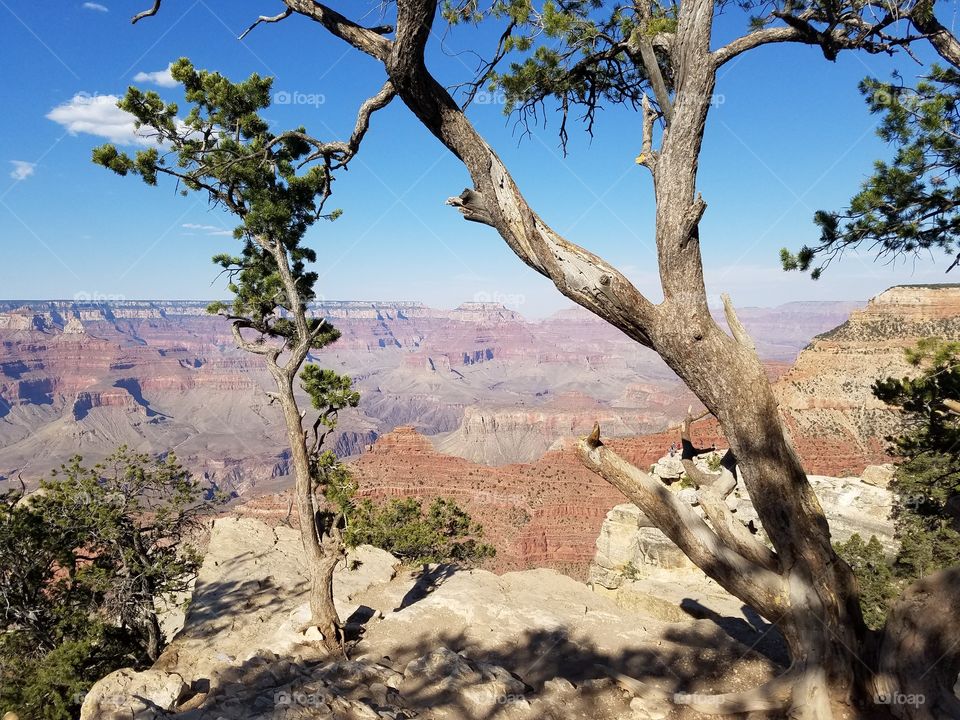 South Rim of the Grand Canyon