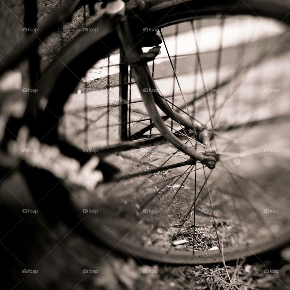 Bicycle Wheel 