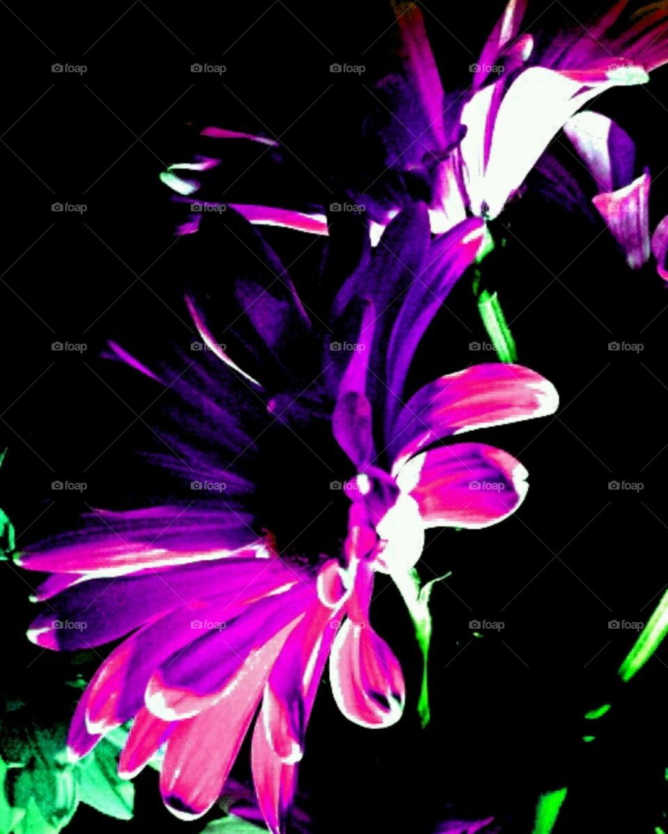 summertime. lighting effects