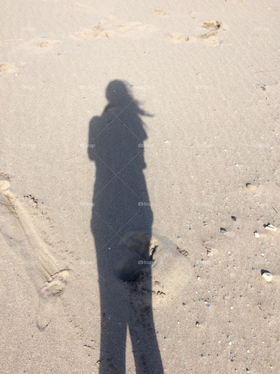 This is a fun photo I took on the beach. The smooth sand looks perfect with a nice touch of a shadow. 