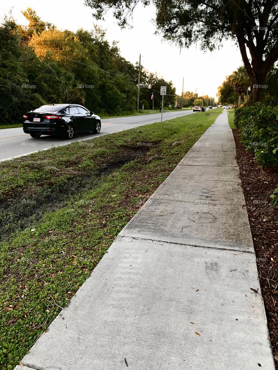 Commuting: cars driving by the a small mall and grocery store by a sidewalk.