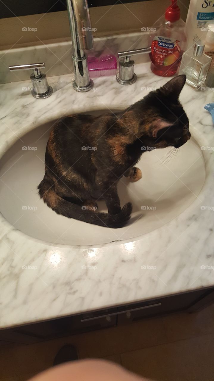 Shadow in the sink