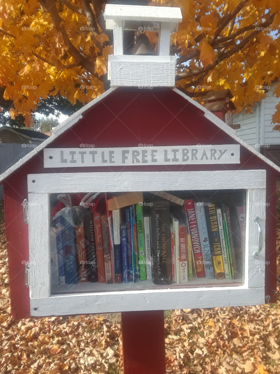 My Little Free Library Schoolhouse