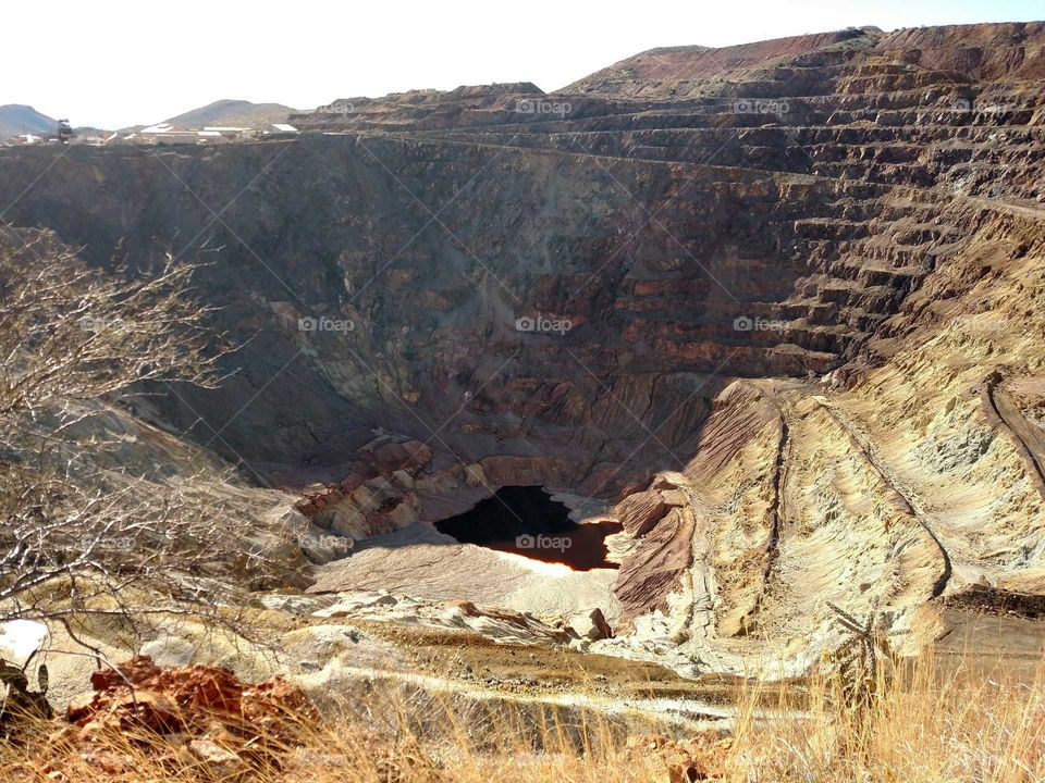 black gold Texas tee