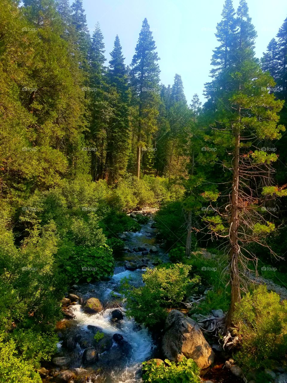 West branch of the feather river