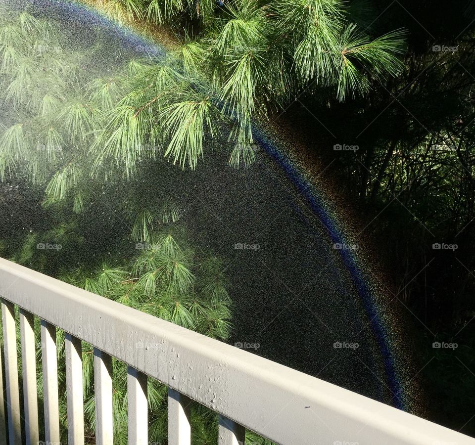 Watering the grass is fun if you can make your own rainbow!