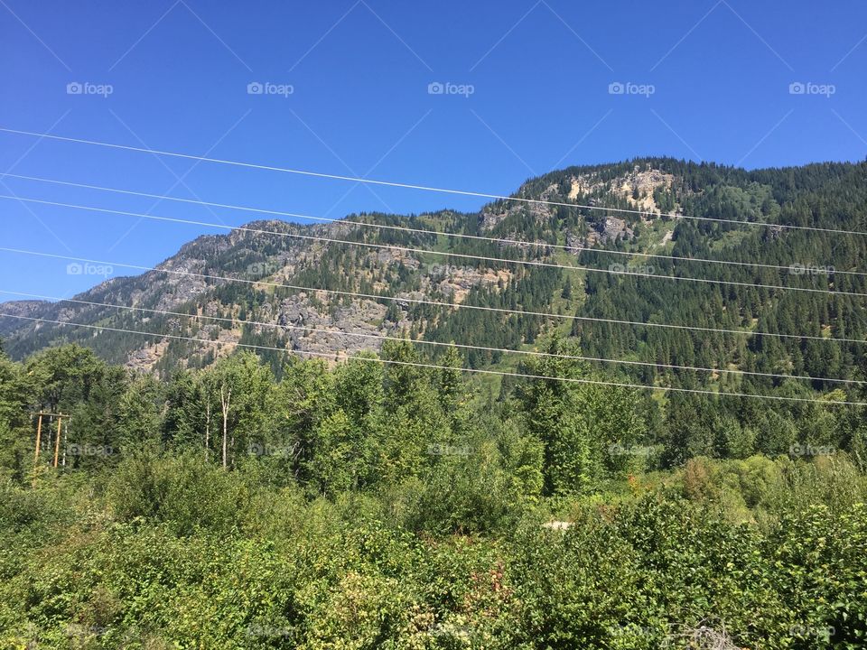 Landscape, Mountain, Hill, Tree, Nature